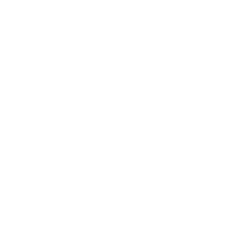 logo formal plus