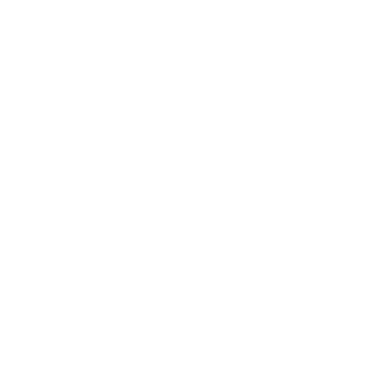 logo formal plus