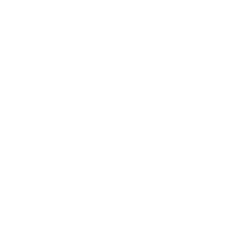 logo formal plus